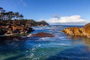 Point Lobos-1826.jpg Point Lobos-1826.jpg